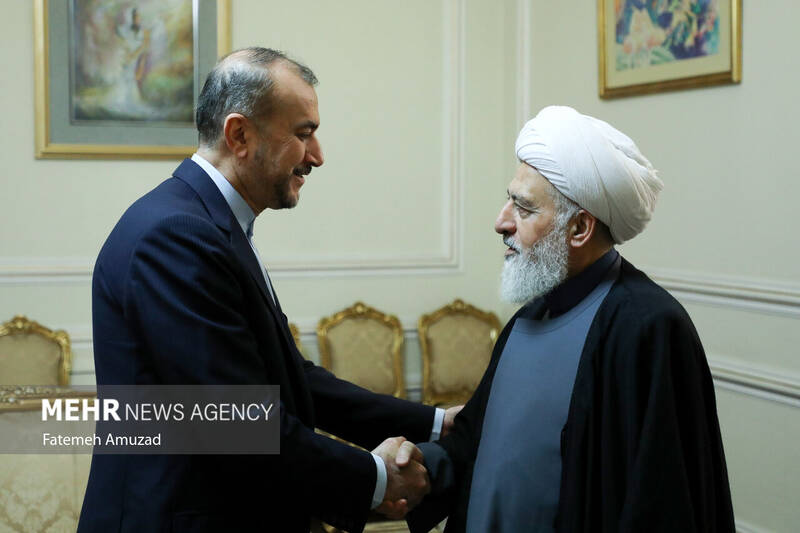 دیدار نایب رییس مجلس اعلای شیعیان لبنان با وزیر امور خارجه