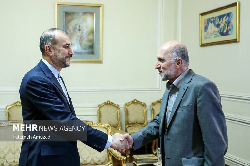 دیدار نایب رییس مجلس اعلای شیعیان لبنان با وزیر امور خارجه