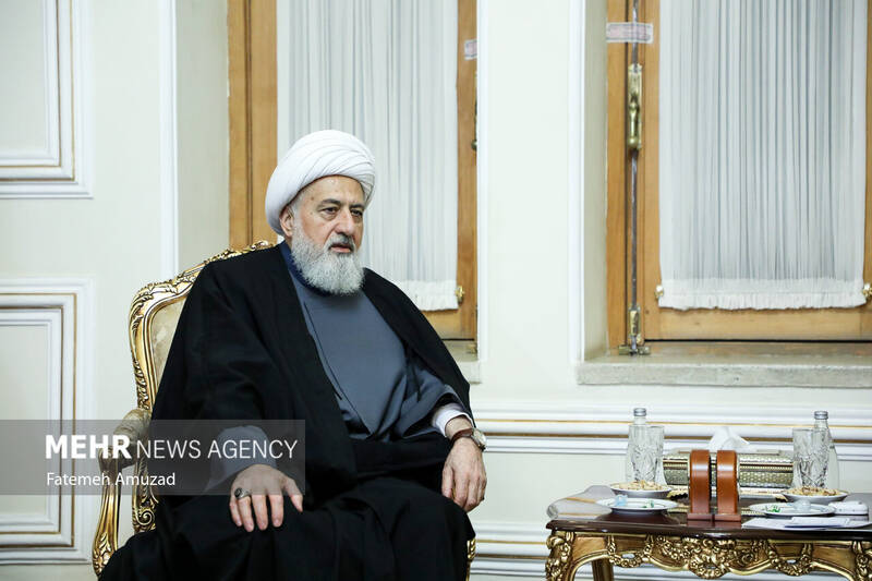 دیدار نایب رییس مجلس اعلای شیعیان لبنان با وزیر امور خارجه