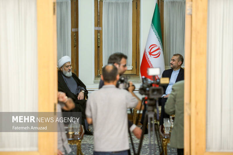 دیدار نایب رییس مجلس اعلای شیعیان لبنان با وزیر امور خارجه