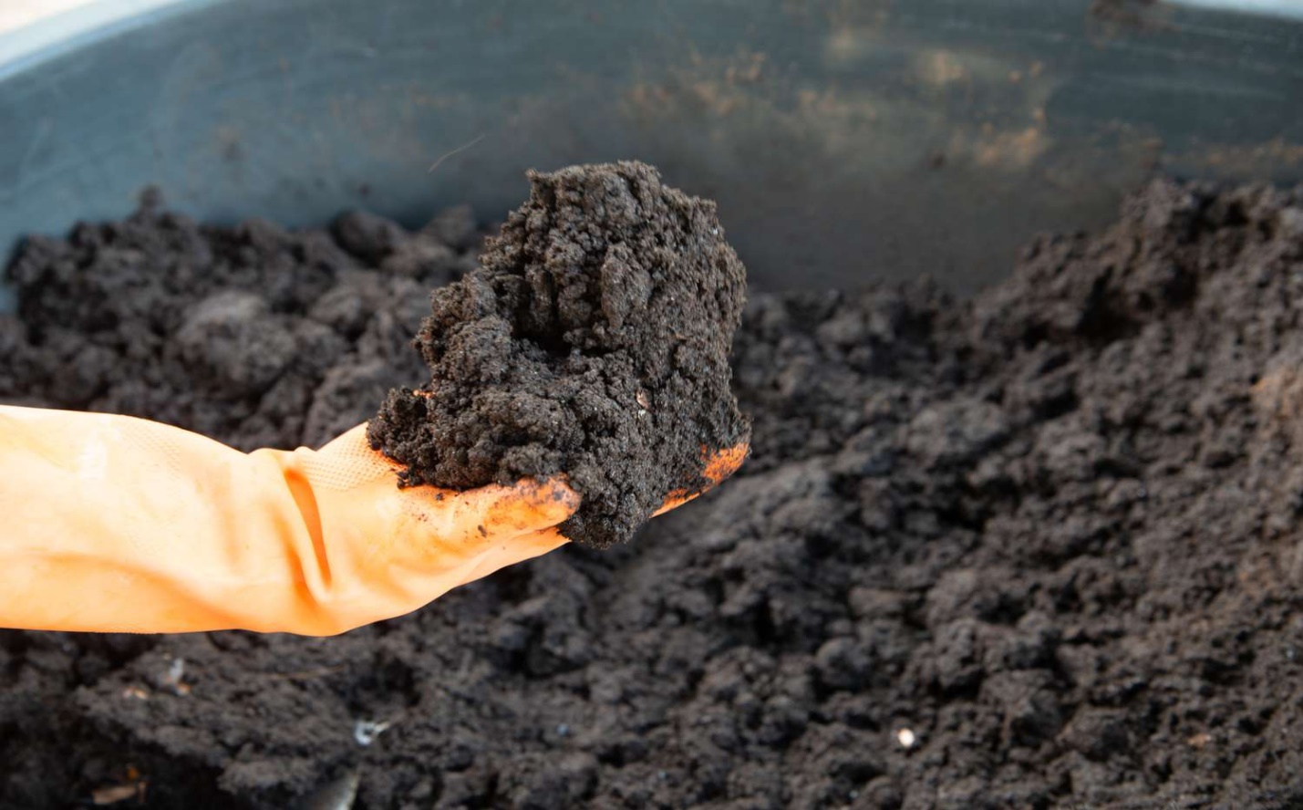 آشنایی با کودهای ارگانیک و کاربرد این کودها در کشاورزی