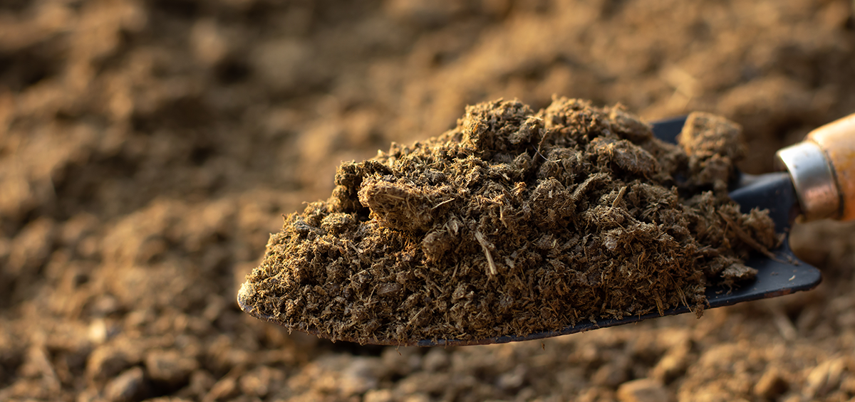 آشنایی با کودهای ارگانیک و کاربرد این کودها در کشاورزی