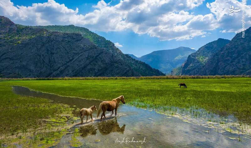 خوزستان، دشت زیبای شیمبار