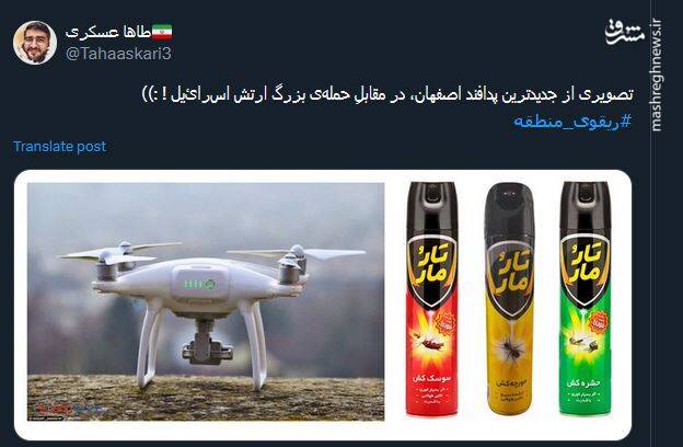 واکنش طنز کاربران به حمله ریزپرنده اسرائیلی +عکس