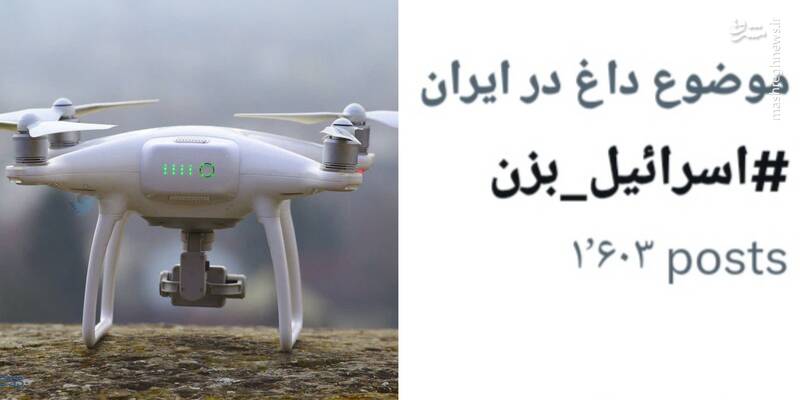 خرابکاری با ریز پرندههای پیتزا بَر + عکس و فیلم 7