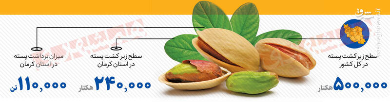 درختان پسته با بخاری گرم میشوند