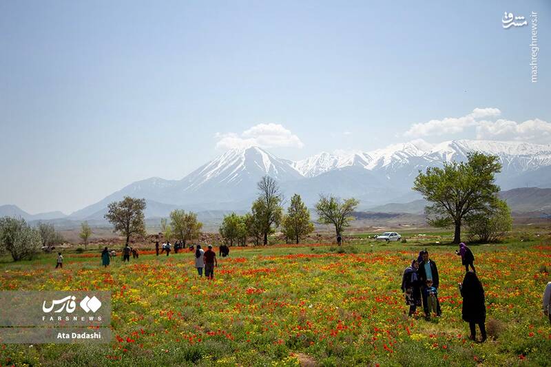 عکس / گردشگران در اَرَس 8