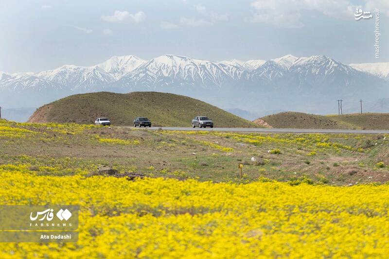 عکس / گردشگران در اَرَس
