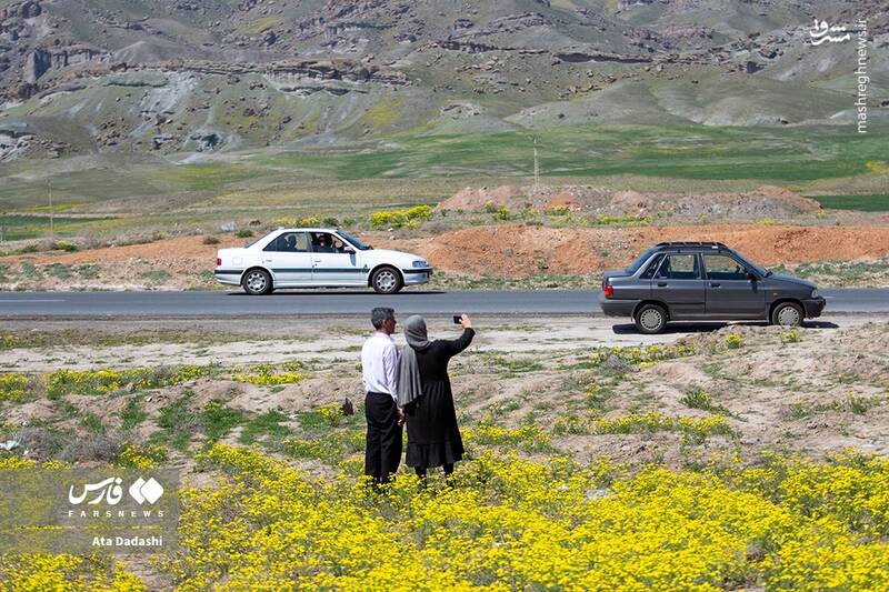 عکس / گردشگران در اَرَس 7