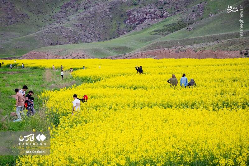 عکس / گردشگران در اَرَس 2
