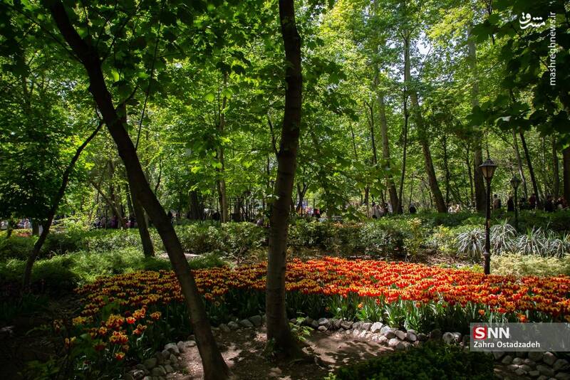 عکس / جشنواره لاله‌های باغ ایرانی 18