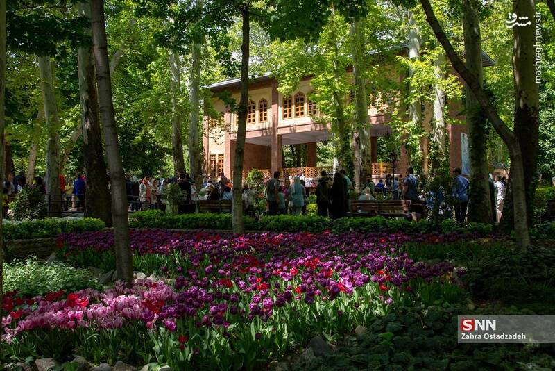 عکس / جشنواره لاله‌های باغ ایرانی 12