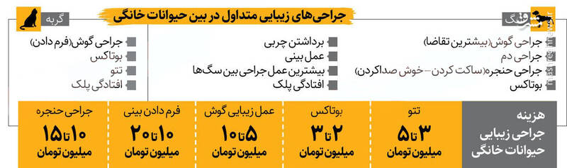 موج واگذاری حیوانات خانگی در شبکه‌های اجتماعی/پت‌های خانگی در فضای مجازی دست به دست می‌شوند