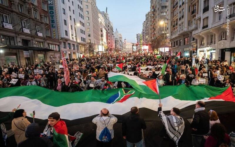 هاآرتص: جوانان اسرائیلی امید خود را از دست دادهاند؛ این خانه در آستانه فرو ریختن است/ بلینکن: بدون آتشبس در غزه، دستیابی به راه حل با حزب الله غیرممکن خواهد بود/ کلمبیا روابط خود با اسرائیل را قطع میکند/ نرخ فقر در غزه به بیش از ۹۰ درصد رسید + عکس و فیلم