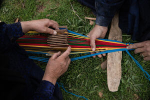 عکس / شیردنگ بافی