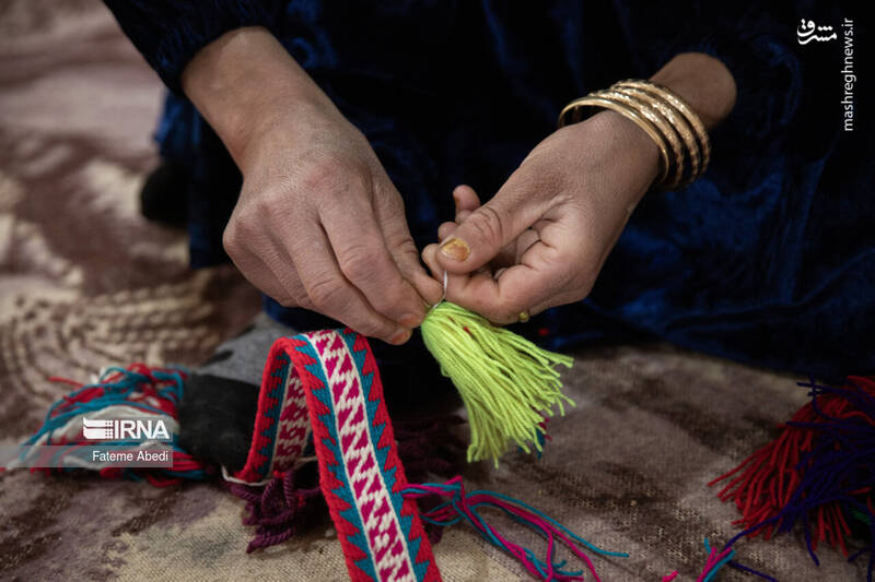 عکس / شیردنگ بافی 6
