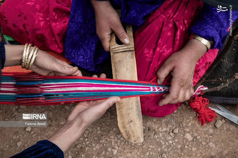 عکس / شیردنگ بافی 5
