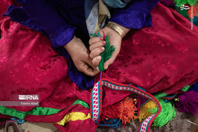 عکس / شیردنگ بافی 7