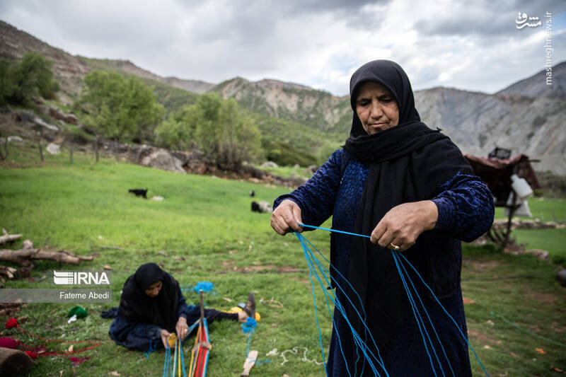 عکس / شیردنگ بافی 2