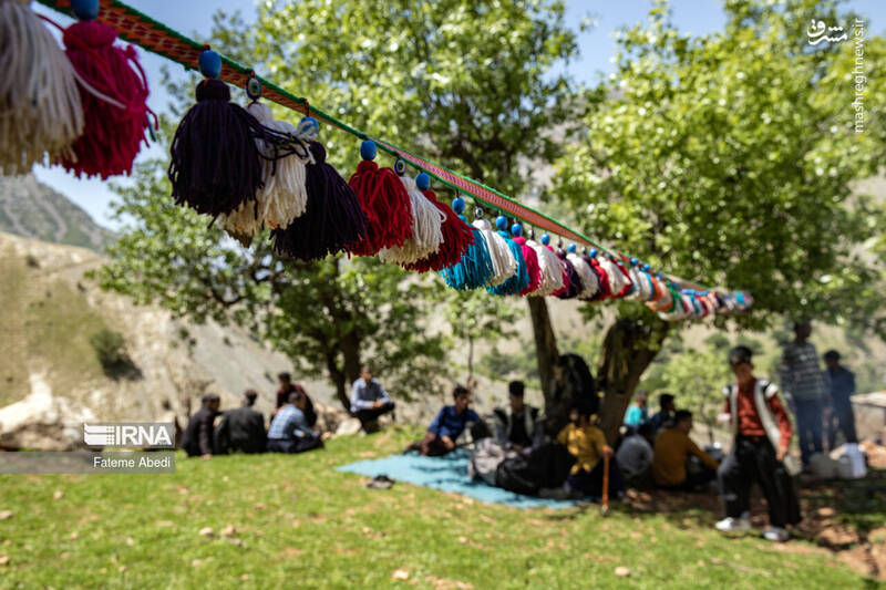 عکس / شیردنگ بافی 16