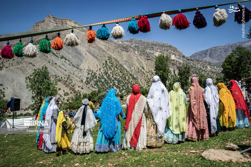 عکس / شیردنگ بافی 14