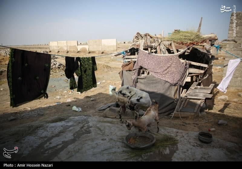 عکس / روستای پزم تیاب چابهار بعد از سیل 10