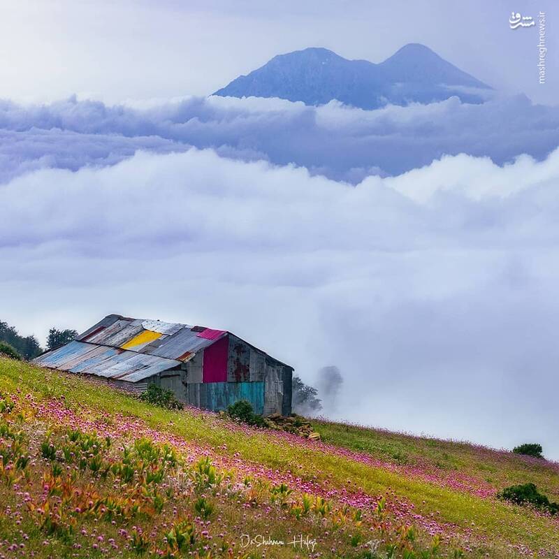 دشت زیبای سلانسرِ گیلان 2