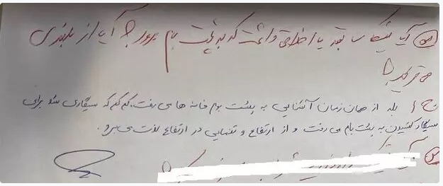 بازخوانی پرونده نیکا شاکرمی؛ از ادعای شکنجه تا پیامهای لحظه آخری نیکا به مادرش + عکس و فیلم 8