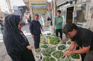 عکس/ بازار فروش گیاهان محلی زنجان در فصل بهار