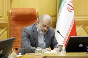 وزیر کشور: پیدا شدن دختر ایران زمین را تبریک می‌گویم