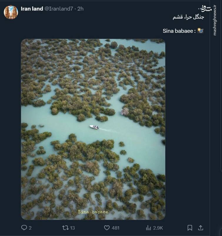 جنگل شگفتانگیز حرا؛ قشم