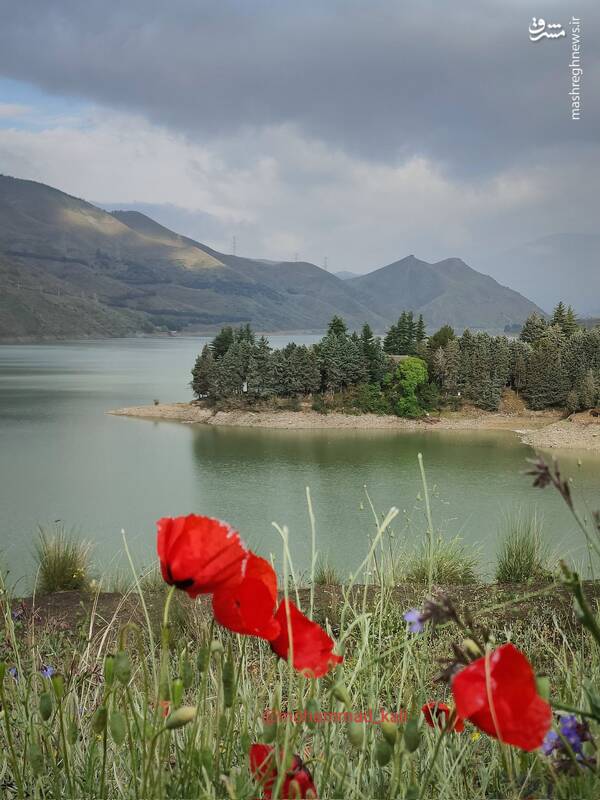 وضع مطلوب سد لتیان پس از بارشهای اخیر