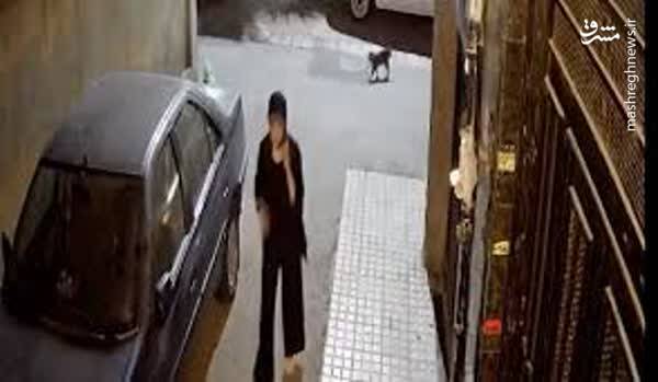 ۱۵سال کشتهسازی؛ «ترانه»ای که به «نیکا» ختم شد+ عکس و فیلم