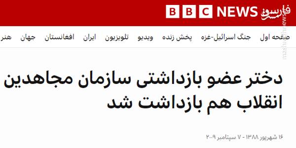 ۱۵سال کشتهسازی؛ «ترانه»ای که به «نیکا» ختم شد+ عکس و فیلم