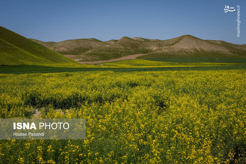 عکس/ زیارتگاه و قبرستان خالدنبی در گلستان