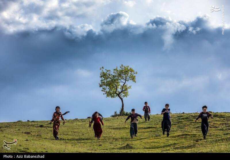 عکس/ کوچ ییلاقی عشایر