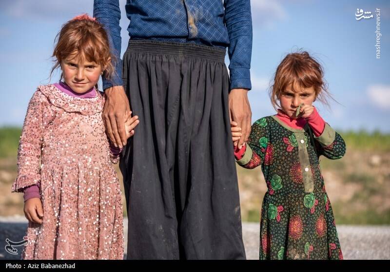 عکس/ کوچ ییلاقی عشایر