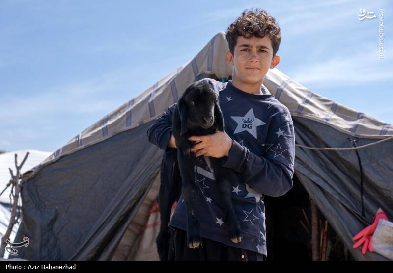 عکس/ کوچ ییلاقی عشایر