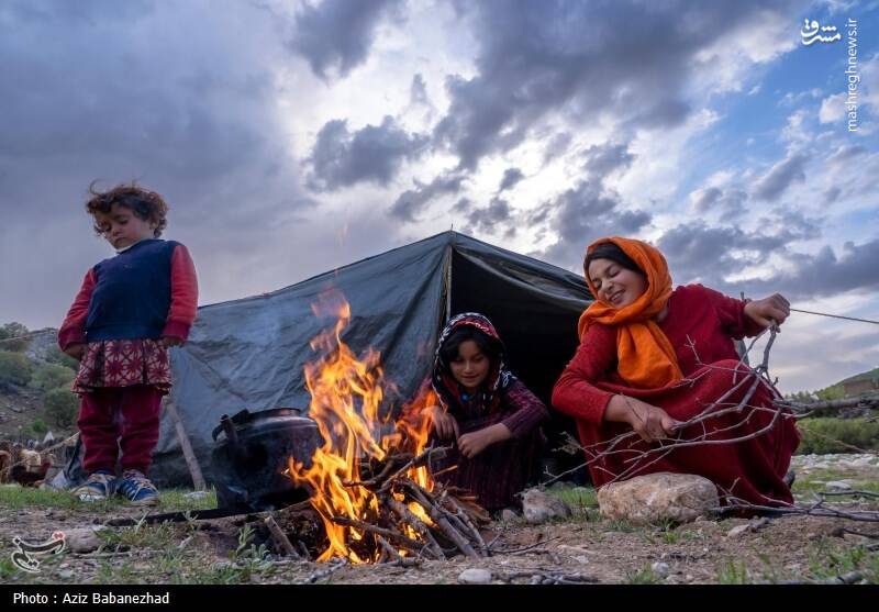 عکس/ کوچ ییلاقی عشایر