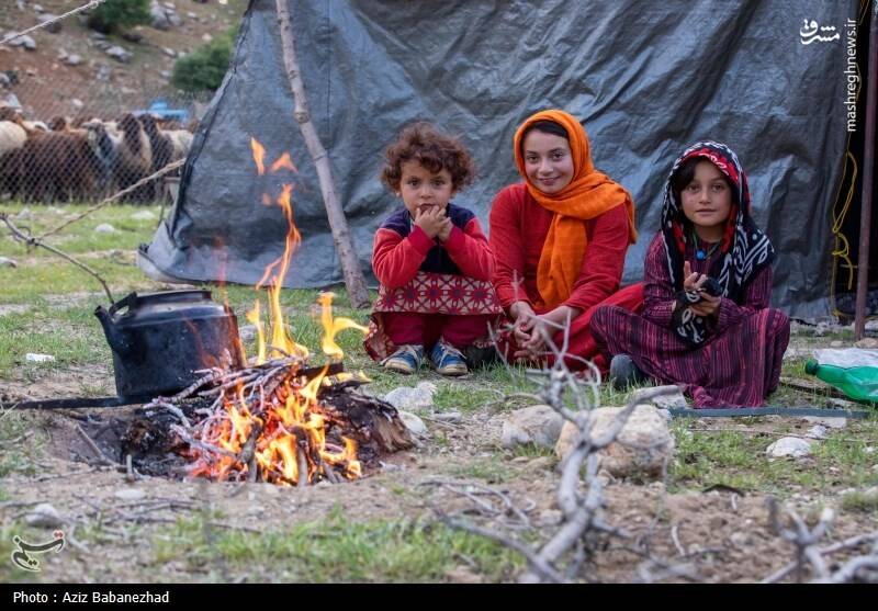 عکس/ کوچ ییلاقی عشایر