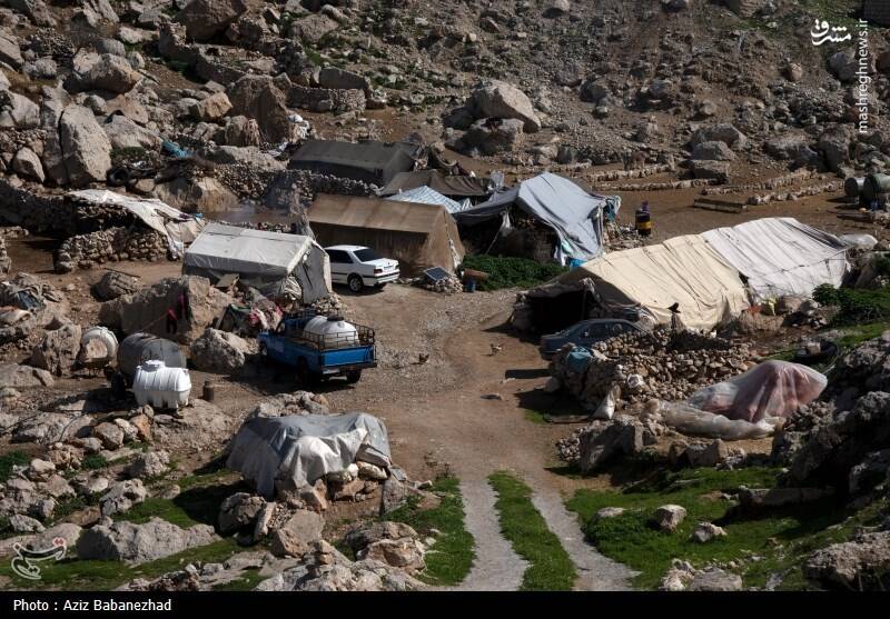 عکس/ کوچ ییلاقی عشایر