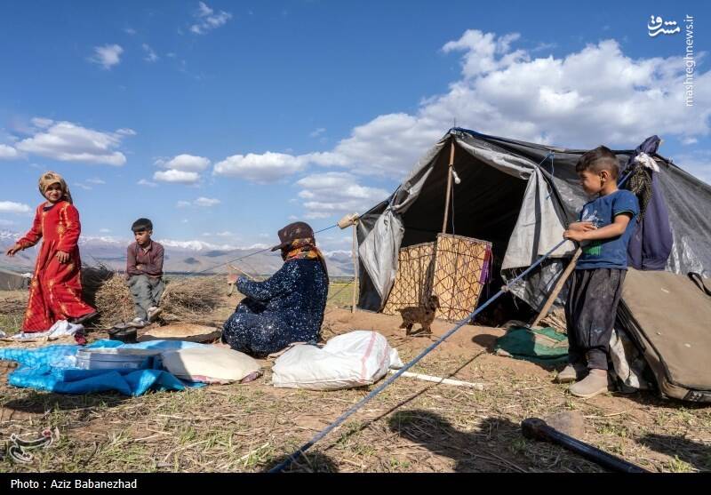 عکس/ کوچ ییلاقی عشایر