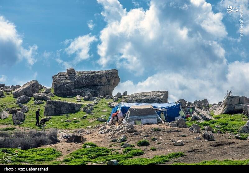 عکس/ کوچ ییلاقی عشایر