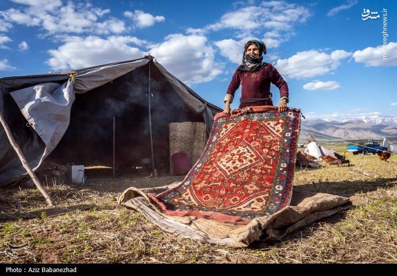 عکس/ کوچ ییلاقی عشایر