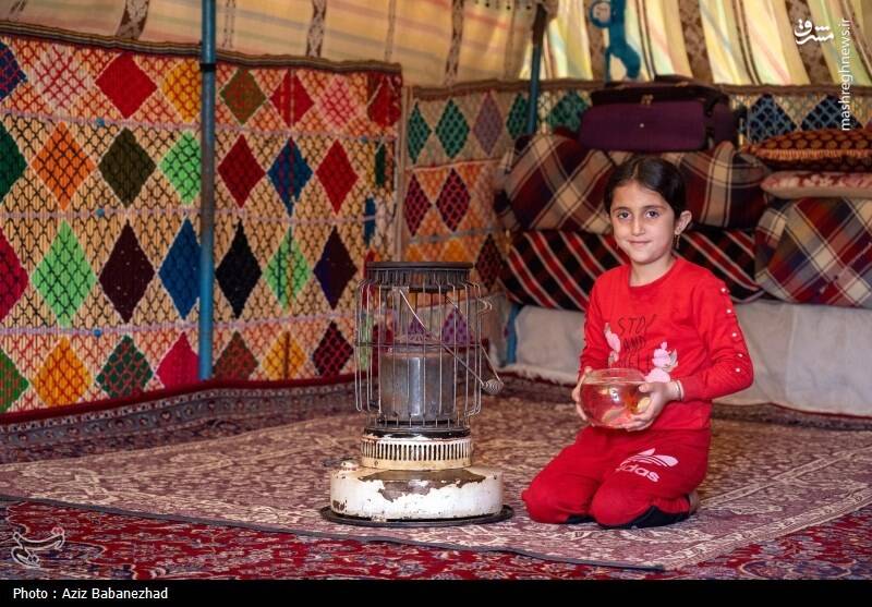 عکس/ کوچ ییلاقی عشایر