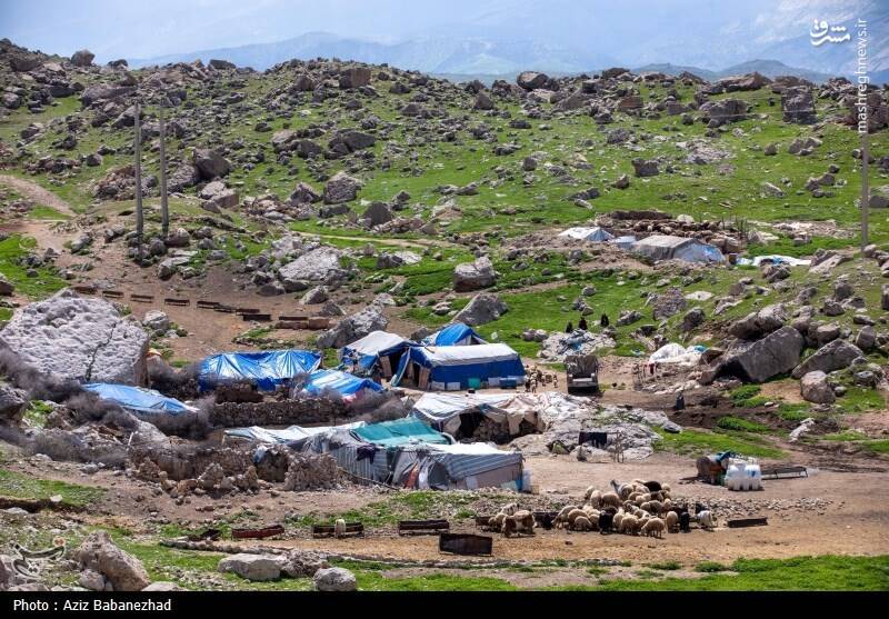 عکس/ کوچ ییلاقی عشایر
