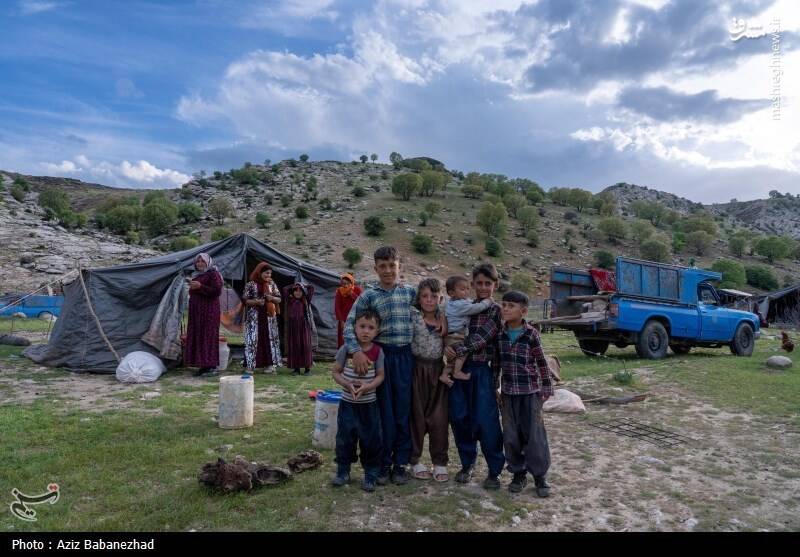 عکس/ کوچ ییلاقی عشایر