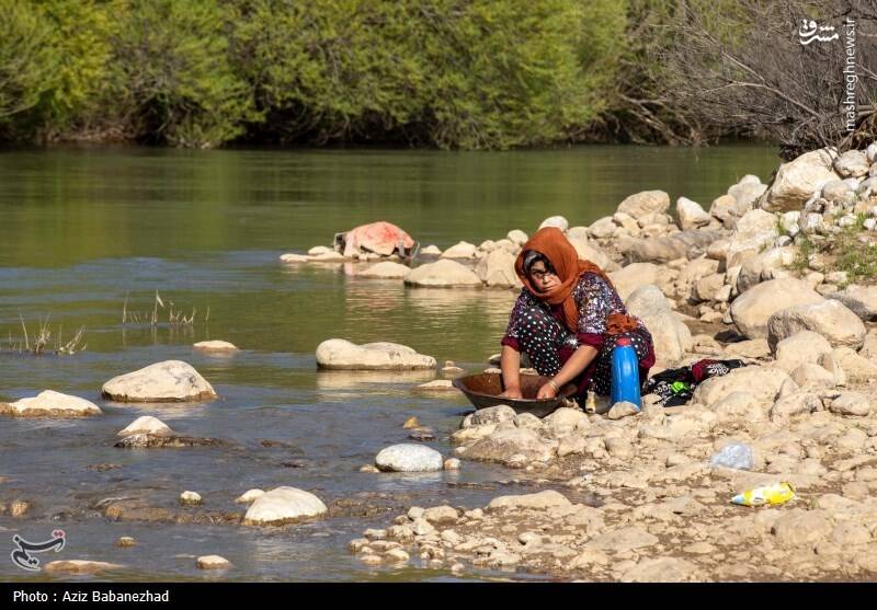 عکس/ کوچ ییلاقی عشایر