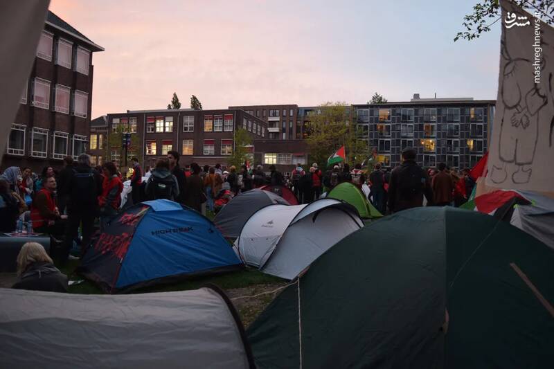 برپا کردن چادر توسط دانشجویان دانشگاه آمستردام در هلند