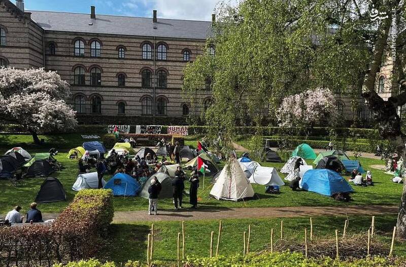 دانشجویان دانشگاه کپنهاگ دانمارک برای حمایت از غزه به پا خاستند.